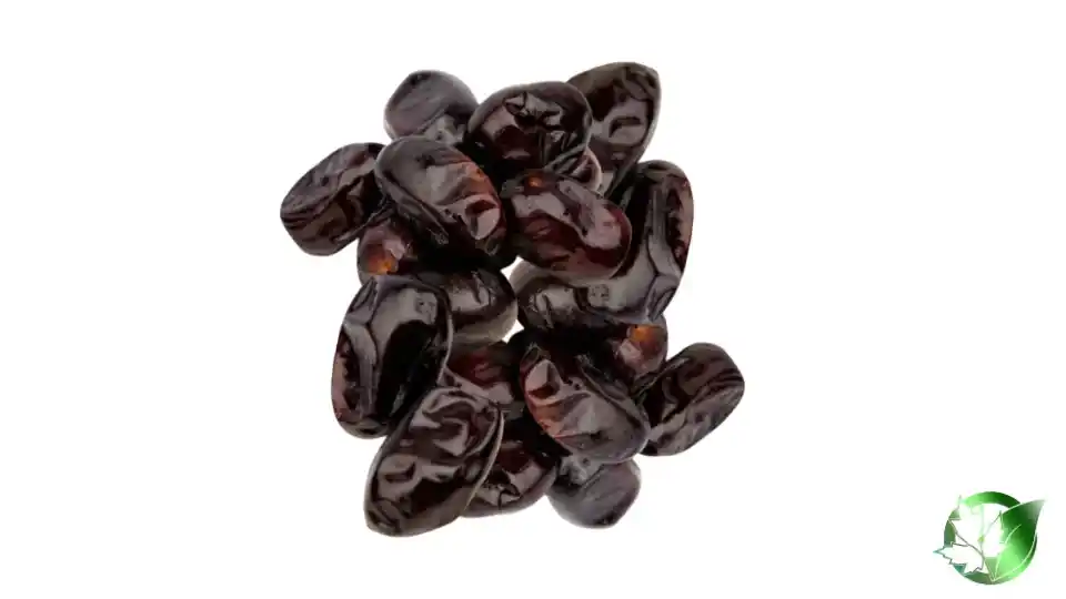 Bulk Kabkab Dates | Suppliers | Wholesale | ParsaFood Global